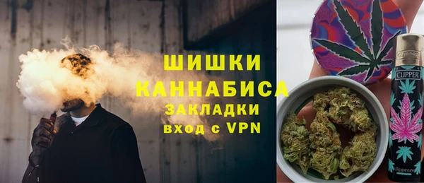 сатива Арсеньев