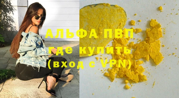 сатива Арсеньев