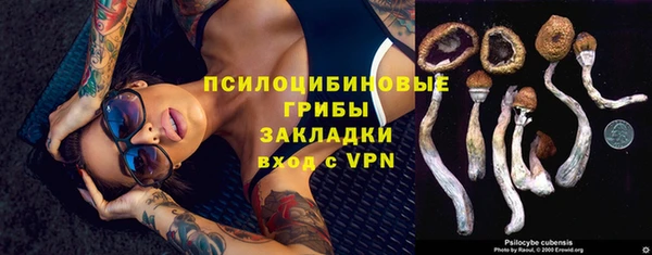 спиды Семилуки