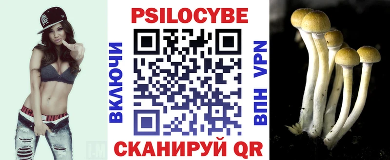 Псилоцибиновые грибы Psilocybine cubensis  наркошоп  Петухово 